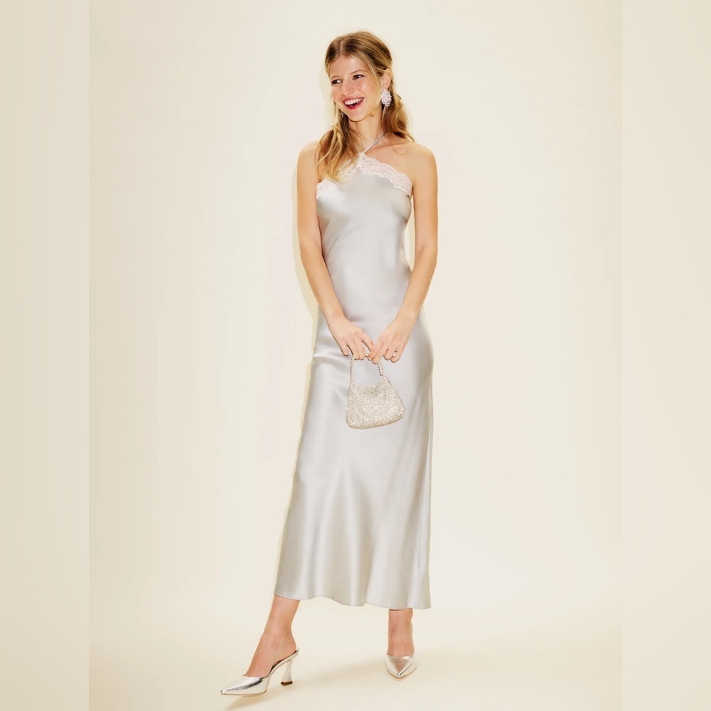 NWT Reformation Aara Silk Lace Halter Midi Maxi Slip Dress Moonlight Light Grey - Picture 4 of 16